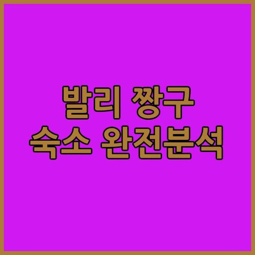 발리 짱구 가성비 숙소 여기 다 있네? 떼갈 왕이 창구 완전분석!