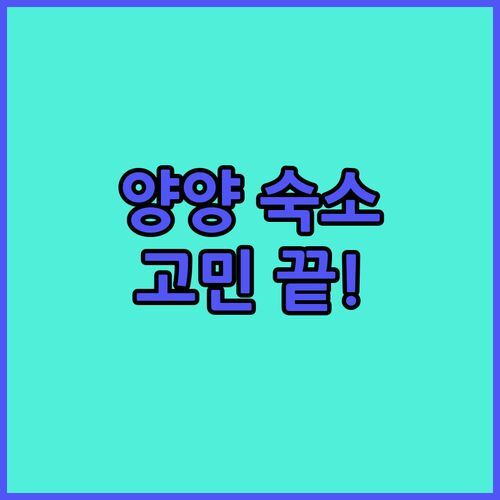 강원도 양양 숙소 고민 끝! 낙산해변 바로 앞 인생 숙소 추천🏖️ (ft. 솔직 후기, 가격 비교)