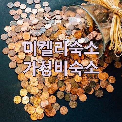 미켈리 가성비 숙소! Kaksio paritalossa, 깔끔하고 조용한 4성급 아파트에서 힐링하세요!