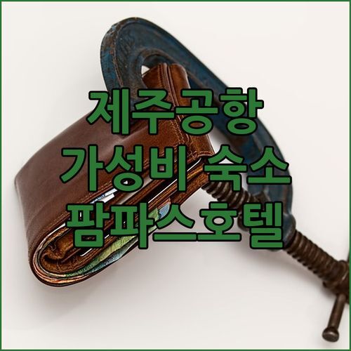 제주 공항 근처 가성비 숙소 팜파스호텔 제주 솔직 후기 바다뷰 객실에 반하다!