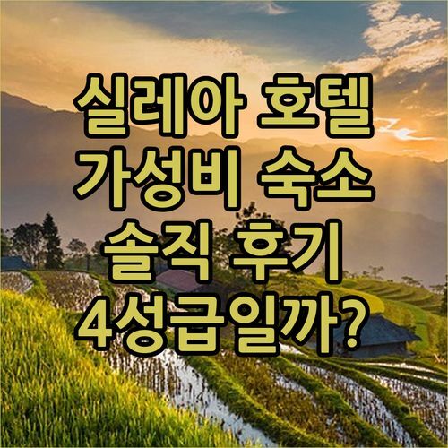 실레아 4성급 호텔 B&B Hotel Roy, 가성비 숙소일까?