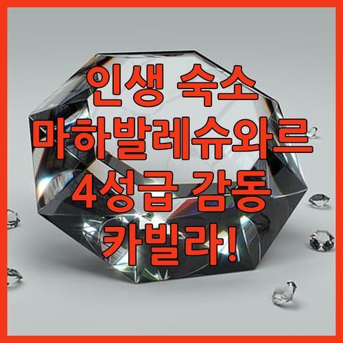Kabila Agro Tourism.. 마하발레슈와르 인생 숙소! 4성급의 감동!