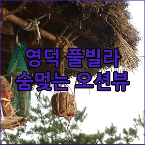 영덕 오션뷰 풀빌라! 숨멎는 뷰 & 미온수 풀, 조식까지?!