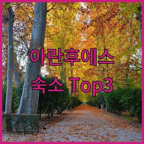 스페인 아란후에스 여행, 어디서 묵을까🤔? 현지인이 추천하는 가성비 숙소 Top 3 전격 비교!
