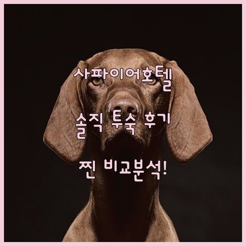 사파이어 스카이 럭셔리 호텔🏨, 실제 투숙객 후기 궁금하세요? 솔직 비교 분석!
