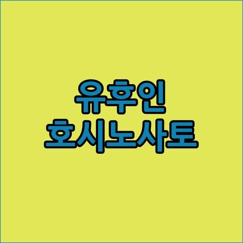 유후인 호시노사토 료칸! 5성급 힐링 여행, 놓치면 후회할지도? 🌟