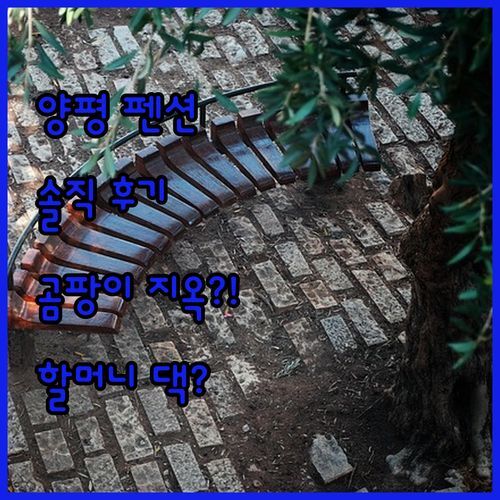 양평 나무쉼터펜션, 할머니 댁 같은 정겨움? or 곰팡이 지옥?! 리얼 후기 대방출!