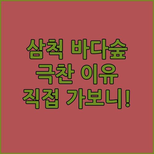 삼척 바다숲 펜션, 왜 다들 ‘최고’라고 칭찬할까? 직접 가보니 진짜였어!
