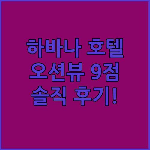 나트랑 하바나 호텔 숙박 후기! 인생 오션뷰에 9점?!