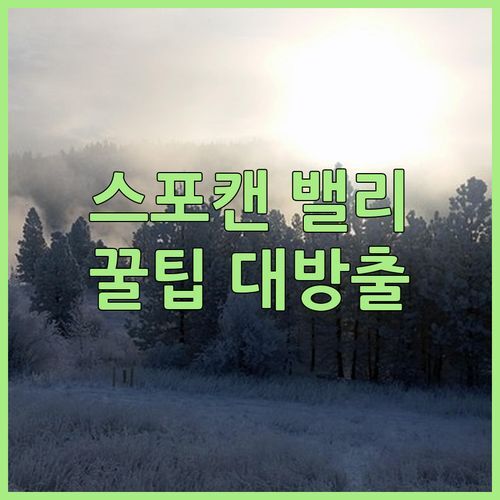 스포캔 밸리 여행객 필독! ✨Tru by Hilton Spokane Valley✨ 놓치면 후회할 꿀팁 대방출🍯