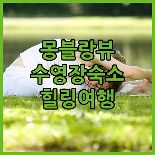샤모니 몽 블랑 숙소 추천 아파트먼트 드 렐리오픽! 스파, 수영장, 몽블랑 뷰까지 완벽한 힐링 여행!