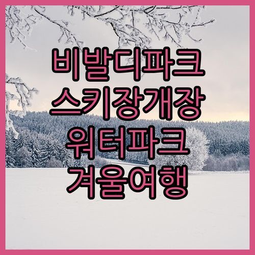비발디파크 스키와 워터파크를 한 번에 서울 근교 완벽한 겨울 여행!