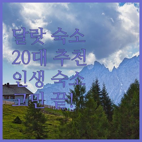 달랏 여행 숙소 고민 끝 20대가 추천하는 인생 숙소는 바로 여기!