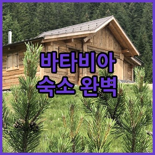 바타비아 여행 숙소 완벽 가이드! 내 취향에 딱 맞는 호텔 찾는 비법 공개!