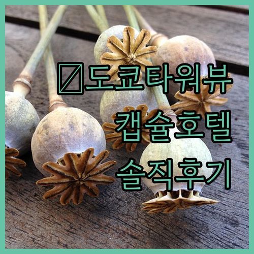 9h 나인 아워스 하마마츠초 캡슐 호텔🗼 도쿄타워 뷰 실화냐 완전 솔직 후기