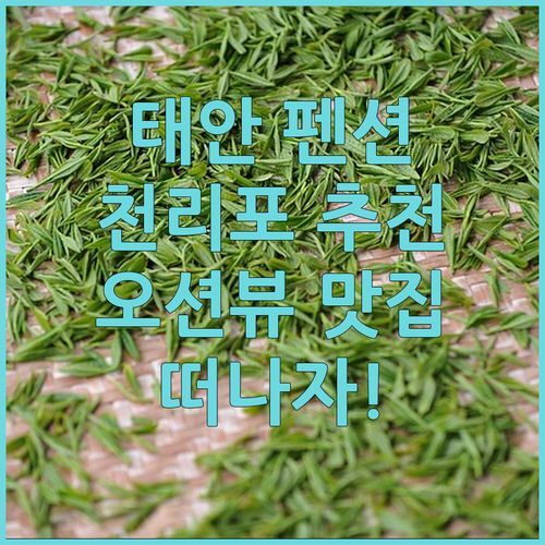 태안 천리포 펜션 추천! 숨겨진 오션뷰 맛집, 지금 바로 떠나자!