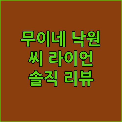 무이네 해변 낙원 씨 라이언 비치 리조트 무이네! 전용 해변 & 수영장 완비 [솔직 리뷰]