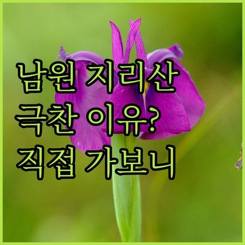 남원 지리산밸리펜션, 왜 다들 칭찬 일색일까? 직접 가보니..