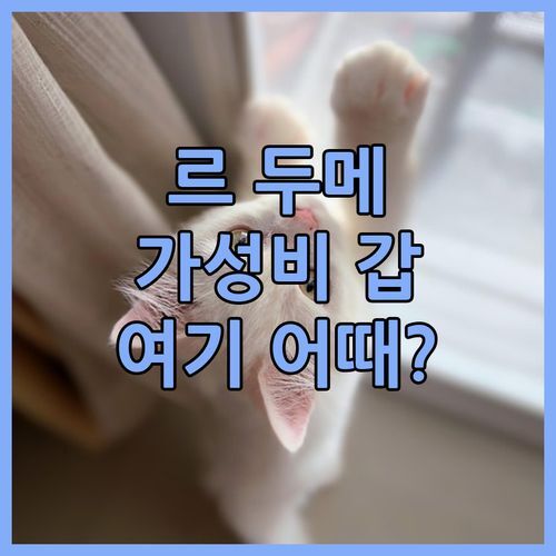 ✨ 르 두메 호텔 데 심! 가성비 갑! 루즈 생 소뵈르 여행 숙소 여기 어때?