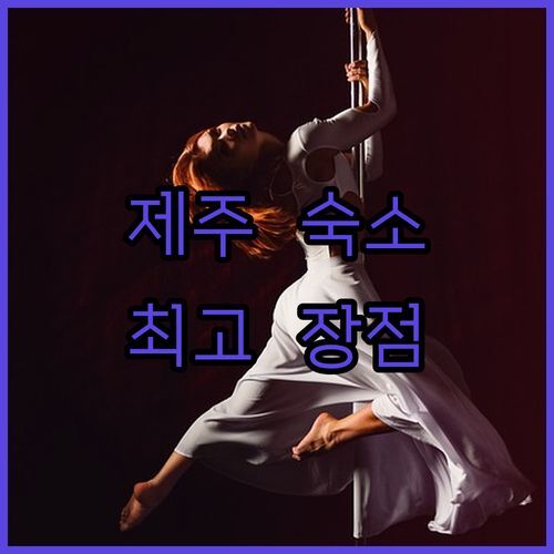 제주 스테이 호텔 vs 다른 곳? 20대가 꼽은 최고의 장점은 바로 이것!