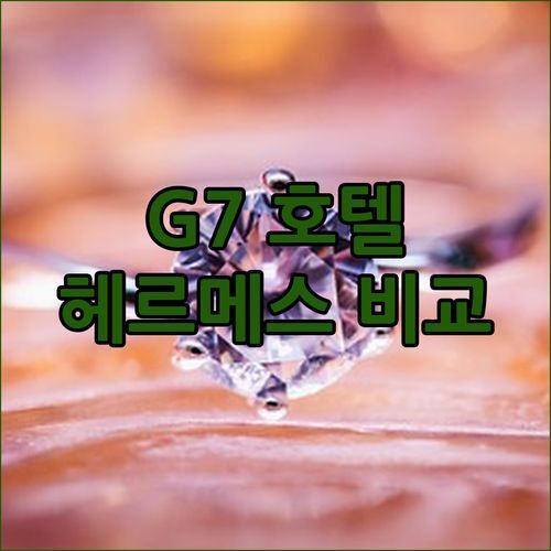 에버랜드 숙소 고민 끝 용인 G7 호텔 vs 헤르메스 어디가 좋을까 솔직 비교!