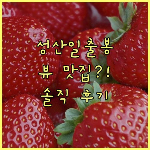 성산일출봉 뷰 맛집? 성산파라다이스힐, 내돈내산 솔직 후기 털어봤습니다!