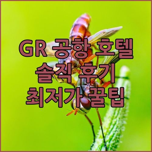 그랜드 래피즈 공항 호텔 어디? 솔직 후기 & 최저가 예약 꿀팁!