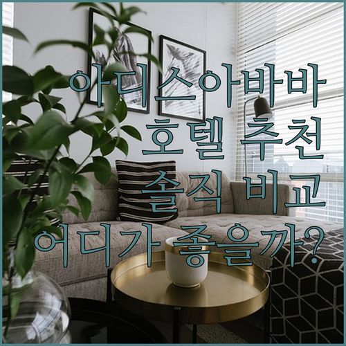 아디스 아바바 여행, 어디서 묵을까? 🤔 하모니 호텔 vs 로벨리아 vs 마제키, 솔직 후기 전격 비교!