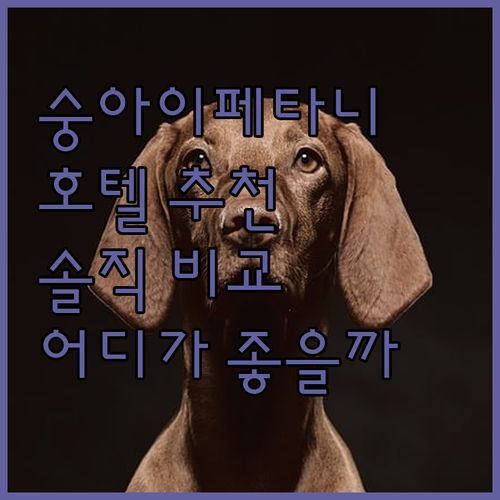숭아이 페타니 호텔 어디가 좋을까? 🧐 퓨어리스트 vs 스위스 애비뉴 vs 신타 사양, 솔직 후기 비교!