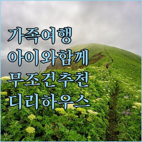 디리 하우스 실제 후기🧐 가족여행객 필독! 아이와 함께라면 무조건 여기?!