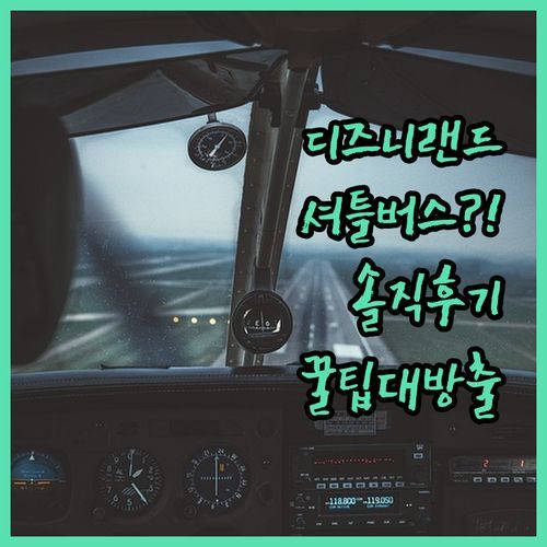 도쿄 베이 아리아케 워싱턴 호텔, 디즈니랜드 셔틀🚌 실화?! 솔직 투숙 후기 & 꿀팁 대방출!