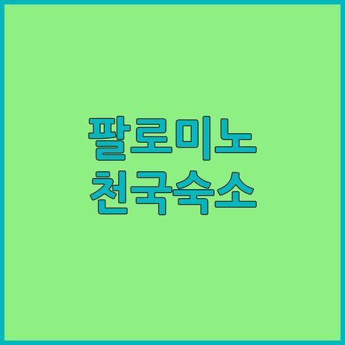 팔로미노 숨겨진 보석 같은 숙소 3곳 여기가 천국인가?!