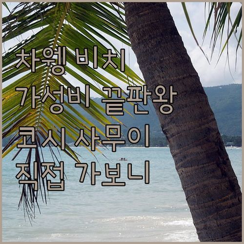 차웽 비치 'COSI Samui', 가성비 끝판왕? 직접 가보니 이런 점이 최고!