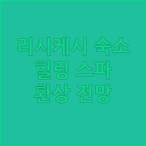 리시케시 숙소 추천! 서밋 바이 더 갠지스, 힐링 스파 & 환상적인 전망! 😍