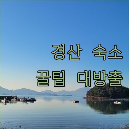 경산 여행, 어디서 묵을까🤔? 가성비 끝판왕 숙소 vs 넷플릭스 꿀팁 대방출!✨