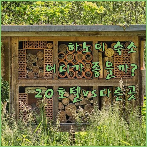 20 호텔 앤 아파트먼트 vs 다른 곳? 하노이 여행, 어디서 묵어야 후회 없을까?