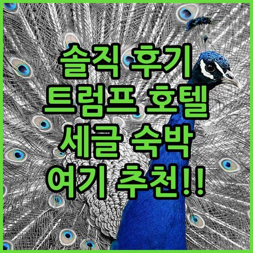 트렘프 호텔 세글 XX 숙박 후기! 트렘프 여행 숙소는 여기!