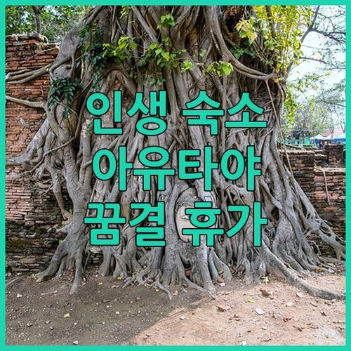반 타이 하우스 아유타야 인생 숙소 발견! 태국 전통 가옥에서 즐기는 꿈결 같은 휴가!