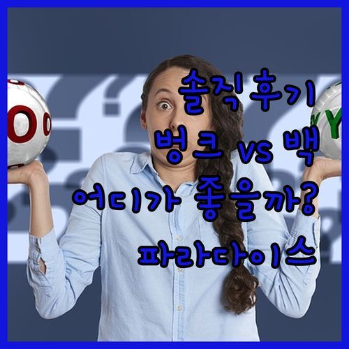 벙크 서퍼스 파라다이스 vs 백패커스 인 파라다이스, 솔직 후기 비교! 어디가 더 좋을까?