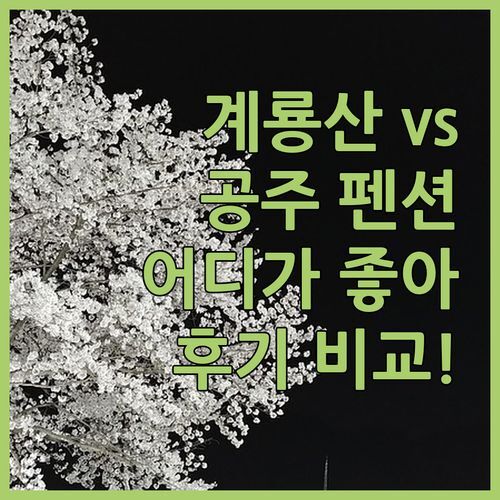 계룡산 vs 공주 펜션 어디가 좋을까? 실제 이용객 후기 전격 비교!
