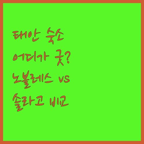 태안 노블레스펜션 vs 솔라고 리조트! 🤔 어디가 더 좋을까? 솔직 후기!
