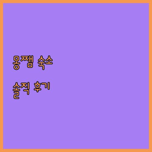 몽쨈 'The View Homestay', 숨겨진 절경? 솔직 후기 & 예약 꿀팁!
