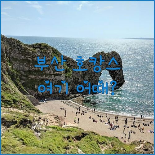 🥰부산 호캉스 고민 끝! 로즈베이 호텔 부산, 왜 다들 추천할까? 실제 투숙 후기!