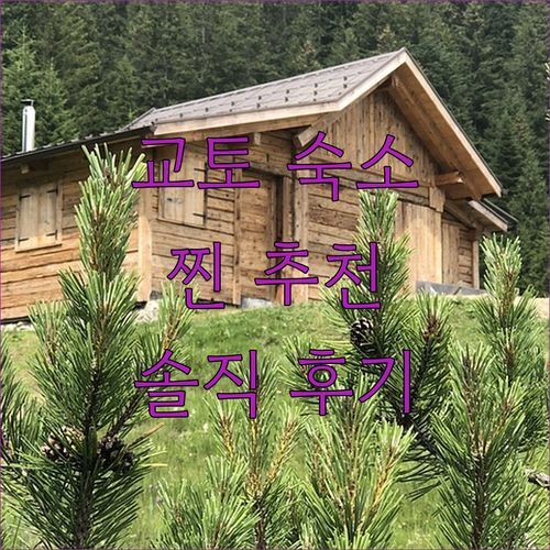 교토 가족여행 숙소, 어디가 좋을까? Nishijin Narahian vs Minn 시리즈, 솔직 후기로 찐 추천!