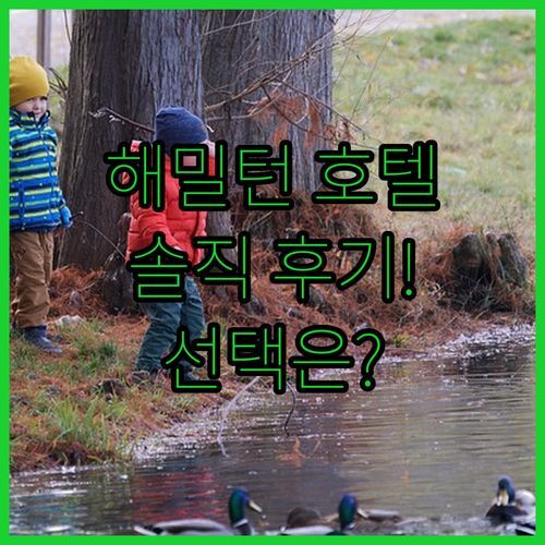 해밀턴 호텔 카장🏨.. 솔직 후기! 가성비 vs 룸 컨디션, 당신의 선택은?