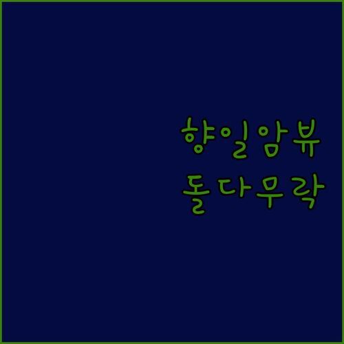향일암 뷰 펜션? 🌄 돌다무락 실사용 후기! ✨ 여수 여행 숙소 고민 끝!