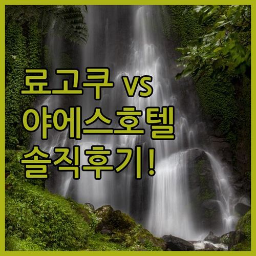 🗼 료우고쿠 vs 네스트호텔 도쿄 야에스! 당신의 선택은? 솔직 후기!