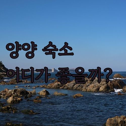 양양 호텔, 낙산 바닷가콘도텔 vs 더낙산호텔 어디가 좋을까 실제 후기 비교