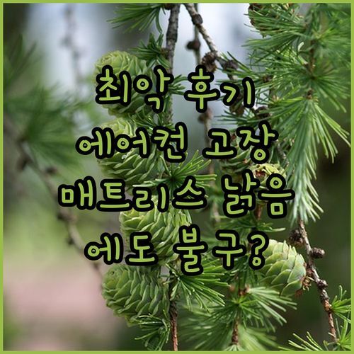 스프링우드 타워 아파트먼트 호텔💥 충격 후기! 😱 에어컨 고장 & 낡은 매트리스…에도 불구하고?