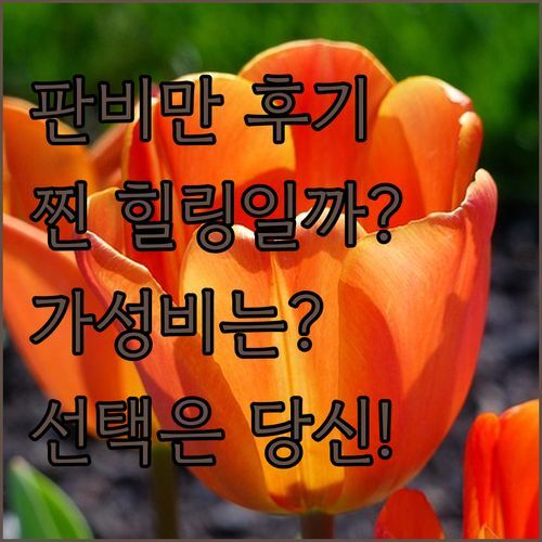 판비만 치앙마이 스파 리조트, 찐 후기! ✨ 힐링 vs 가성비, 당신의 선택은?
